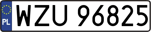 WZU96825