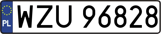 WZU96828