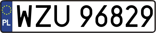 WZU96829