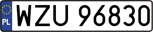 WZU96830