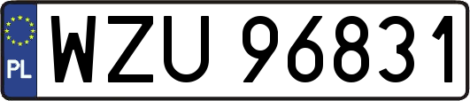 WZU96831