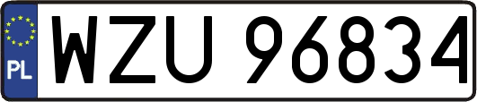 WZU96834