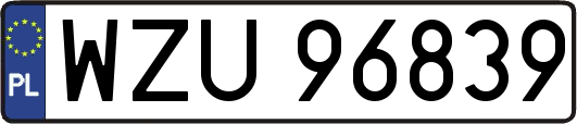 WZU96839