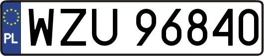 WZU96840