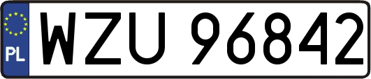 WZU96842