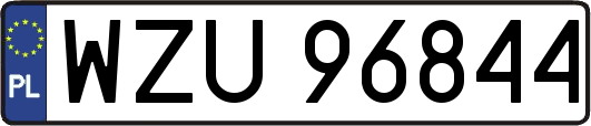 WZU96844