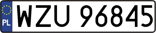 WZU96845