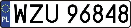 WZU96848
