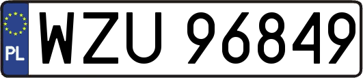 WZU96849