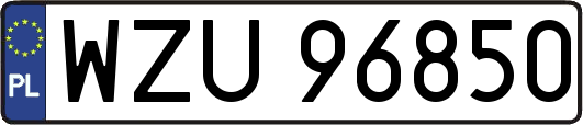 WZU96850