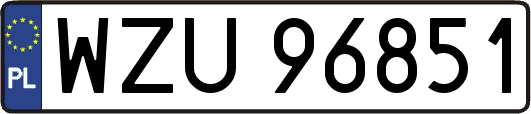 WZU96851