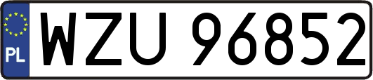 WZU96852