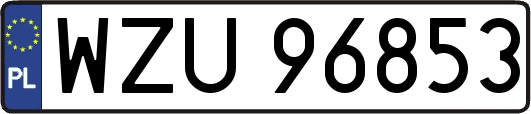 WZU96853