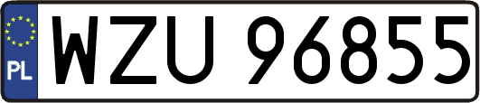 WZU96855