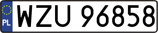 WZU96858