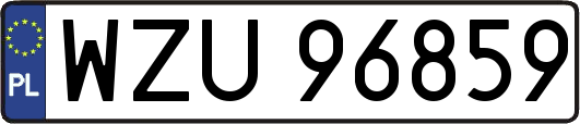 WZU96859