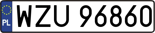 WZU96860