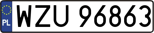 WZU96863