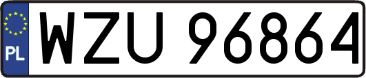 WZU96864