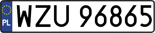 WZU96865