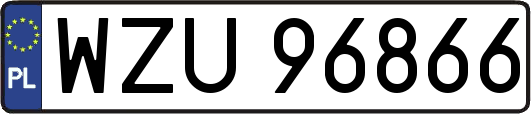 WZU96866