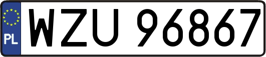 WZU96867