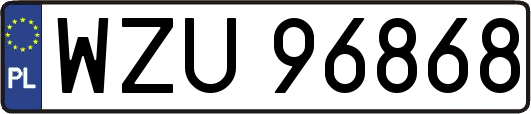 WZU96868