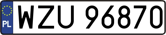 WZU96870