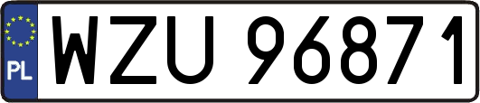 WZU96871