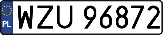 WZU96872
