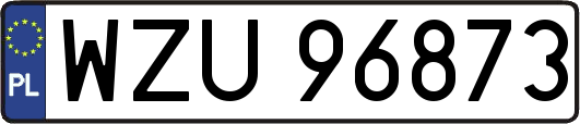 WZU96873