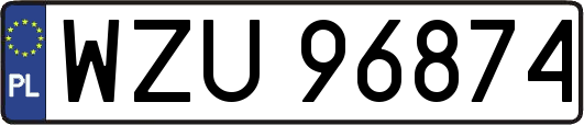 WZU96874