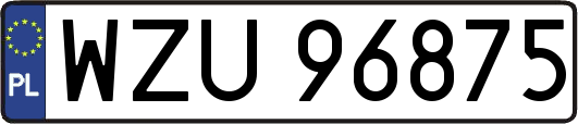 WZU96875