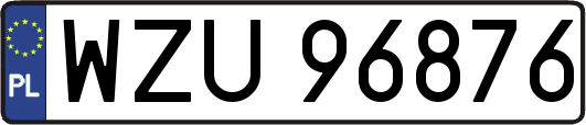 WZU96876