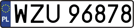 WZU96878