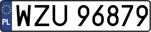 WZU96879