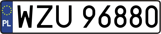 WZU96880