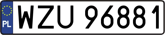 WZU96881