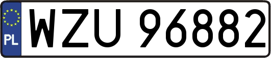 WZU96882