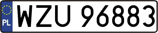 WZU96883