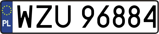 WZU96884