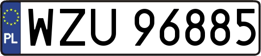 WZU96885