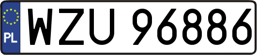 WZU96886