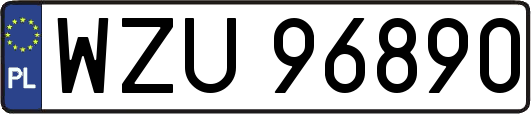 WZU96890