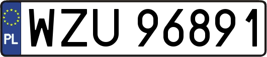 WZU96891