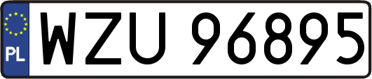 WZU96895