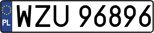 WZU96896