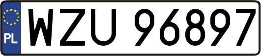 WZU96897