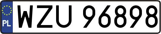 WZU96898