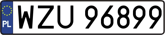 WZU96899